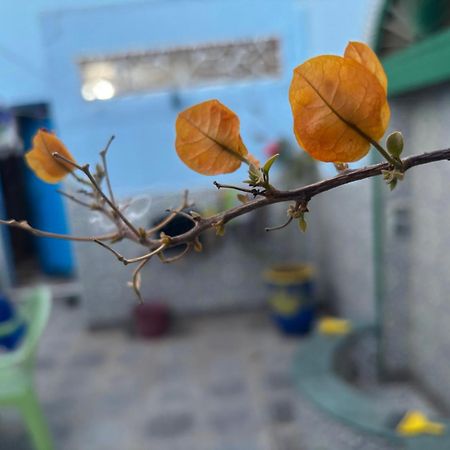 Villa Casa Morisca Sidi Ifni Exterior foto
